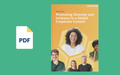 Promoting Diversity and Inclusion in a Global Corporate Context